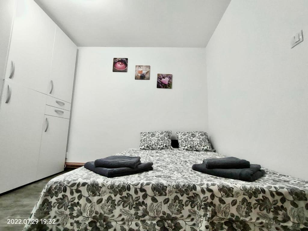 Lavanda Studio Brasov Bagian luar foto