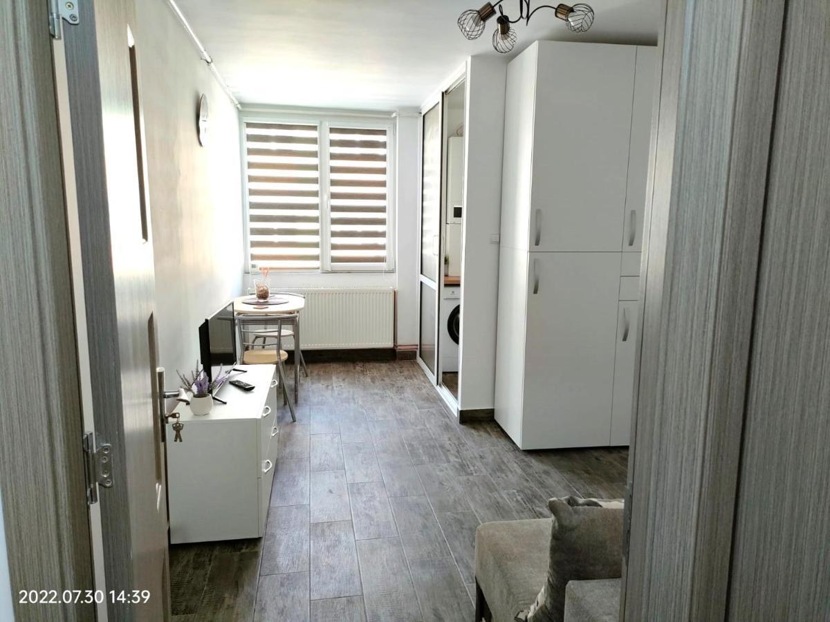 Lavanda Studio Brasov Bagian luar foto